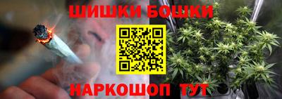 крисы Новоалександровск